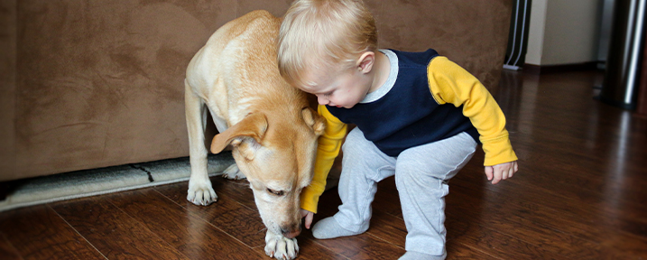 floors best friend sale